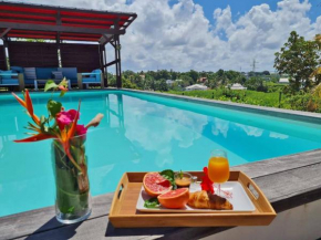 Villa de 4 chambres avec piscine privee jacuzzi et jardin clos a Baie Mahault a 5 km de la plage